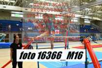 16366_M16-