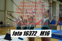16372_M16-
