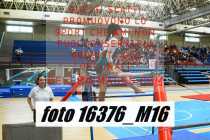 16376_M16-