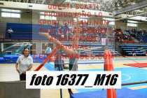 16377_M16-