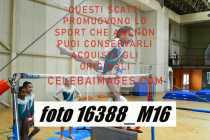 16388_M16-