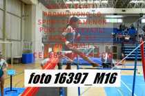 16397_M16-
