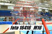 16416_M16-