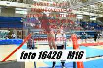 16420_M16-