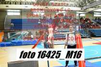16425_M16-