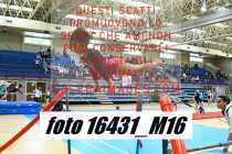 16431_M16-