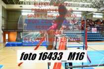 16433_M16-