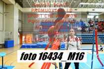16434_M16-