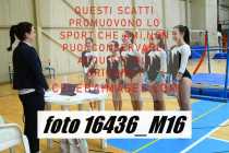 16436_M16-