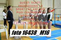 16438_M16-