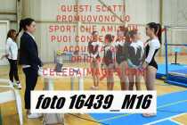 16439_M16-