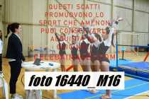 16440_M16-