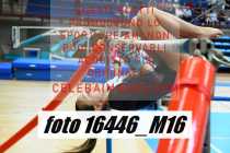 16446_M16-