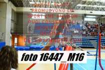16447_M16-