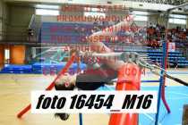 16454_M16-