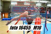 16455_M16-