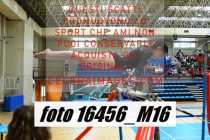 16456_M16-