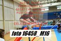 16458_M16-