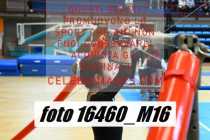 16460_M16-