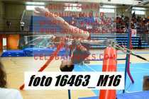 16463_M16-