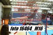 16464_M16-
