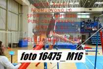 16475_M16-