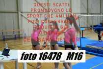16478_M16-