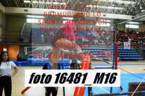 16481_M16-