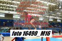 16490_M16-