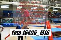 16495_M16-