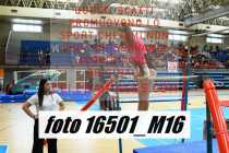 16501_M16-