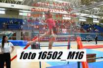 16502_M16-
