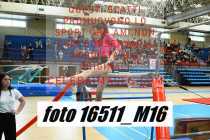 16511_M16-