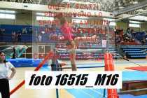 16515_M16-