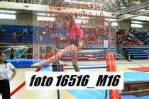16516_M16-