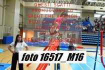 16517_M16-