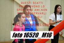 16520_M16-