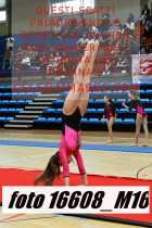 16608_M16-