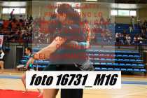 16731_M16-