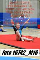 16742_M16-