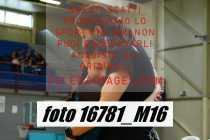 16781_M16-