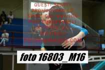 16803_M16-