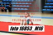 16853_M16-
