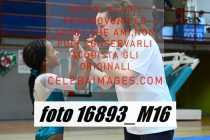 16893_M16-