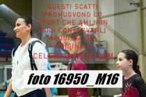 16950_M16-