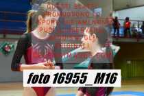 16955_M16-