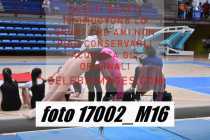 17002_M16-