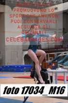 17034_M16-