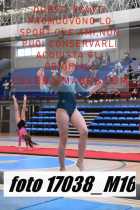 17038_M16-
