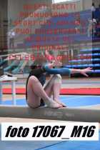 17067_M16-